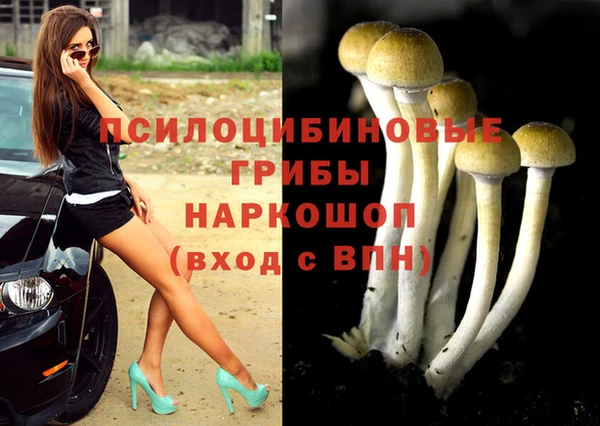 спайс Краснослободск