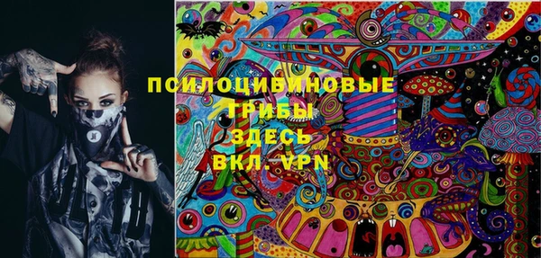 первитин Козловка