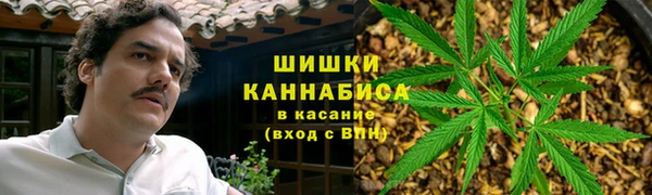 ECSTASY Кодинск