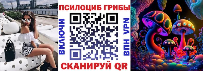 сайты даркнета как зайти блэк спрут ТОР Мелеуз сколько стоит Псилоцибиновые грибы Psilocybine cubensis